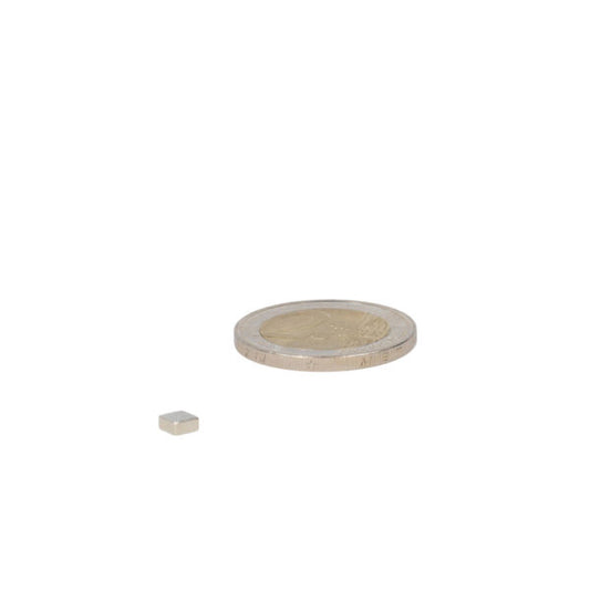 Neodymium Blokmagneet 4x4x2 mm - Magneten Special