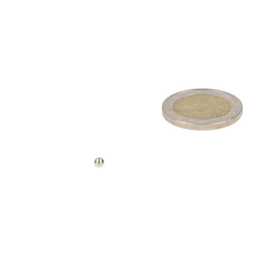 Kogelmagneet 3.175 mm - Magneten Special