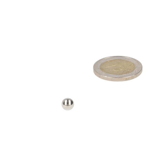 Kogelmagneet 6 mm - Magneten Special