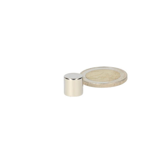 Schijfmagneet 10 x 10 mm - Magneten Special