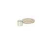 Schijfmagneet 10 x 10 mm - Magneten Special