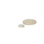 Schijfmagneet 11 x 3 mm - Magneten Special