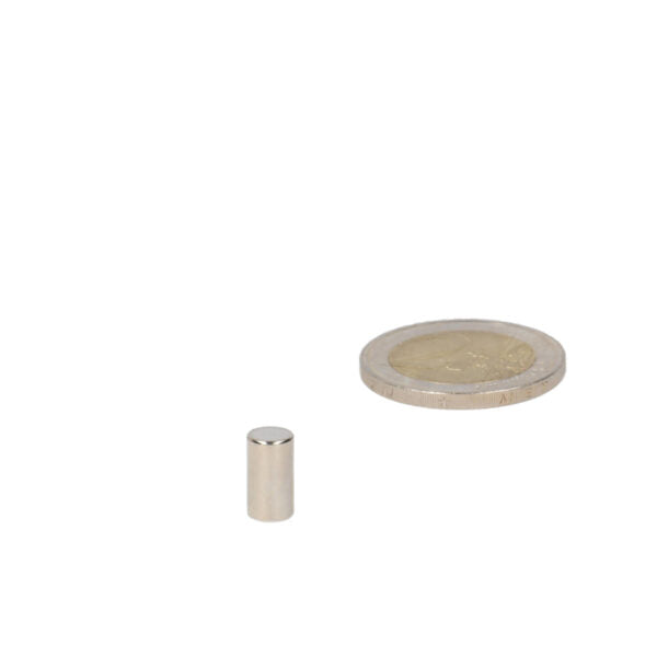Staafmagneet 5,5 x 10 mm - Magneten Special