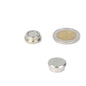 Silver memomagneet 16mm met metallic finish en licht verhoogde randen ideaal voor magnetische oppervlakken van hoogwaardige materialen