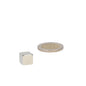 Neodymium kubusmagneet 10 mm zilver naast munt voor schaal professionele toepassingen krachtige magneten