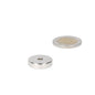 Zilverkleurige ringmagneet 20 x 4,2 x 5 mm met sterke aantrekkingskracht naast een munt voor verschillende projecten