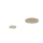 Zilverkleurige schijfmagneet 12x2 mm zelfklevende krachtige neodymium magneet naast euromunt voor formaatvergelijking