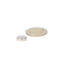 Polijste zilveren schijfmagneet 12 x 3 mm van krachtige neodymium magneet voor verschillende toepassingen en zware objecten