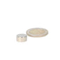 Schijfmagneet 12 x 6 mm neodymium magneet zilver cilindrisch met gladde gepolijste oppervlakte
