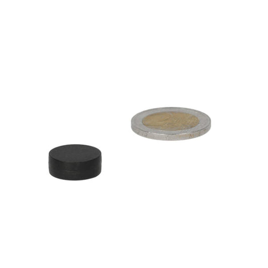 Zwarte kunststof coating krachtige neodymium schijfmagneet 16 x 6 mm naast munt voor schaalvergelijking