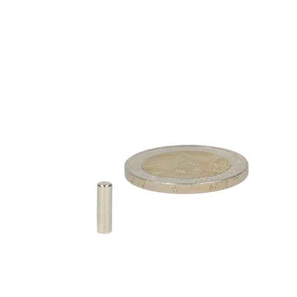 Kleine cilindrische hoogwaardige neodymium magneet staafmagneet 3 x 15 mm met zilveren metallic afwerking
