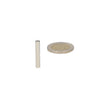 Zilverkleurige hoogwaardige neodymium magneet staafmagneet 4 x 25 mm naast munt voor schaal vergelijking